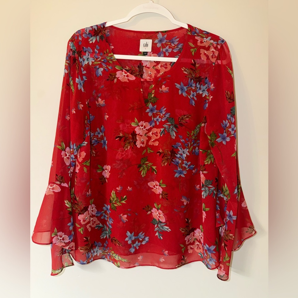 Cabi Sheer Floral Ruffle Blouse Large V-Neck Tie Front Boho ❤️